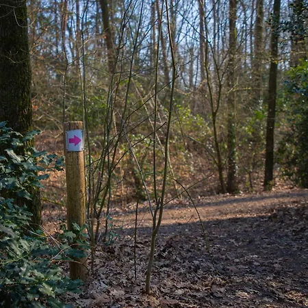 Schaufeli * Apeldoorn