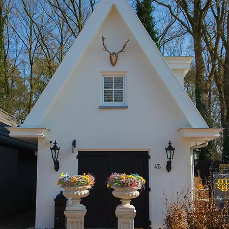 Bed & Breakfast Schaufeli *