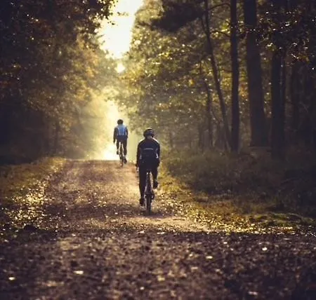 Schaufeli Alojamento de Acomodação e Pequeno-almoço