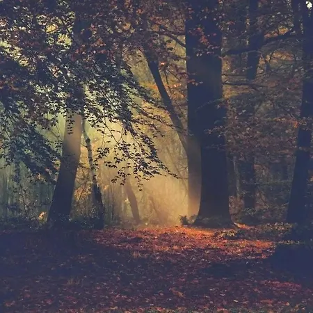 Schaufeli * Apeldoorn
