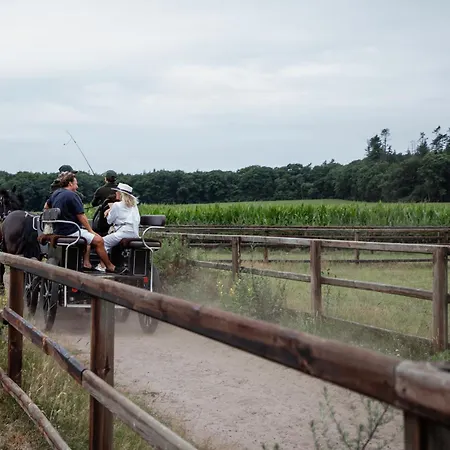 Alojamento de Acomodação e Pequeno-almoço Schaufeli Apeldoorn