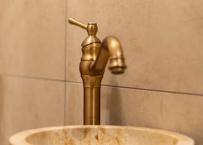 Schaufeli 阿帕多恩