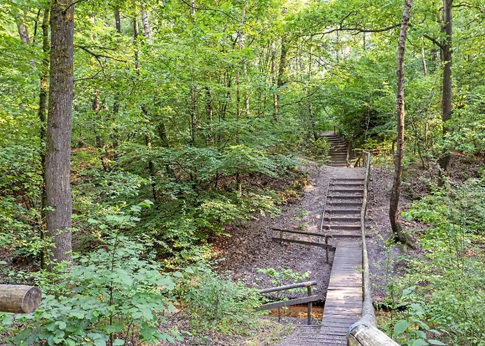 住宿加早餐酒店 Schaufeli 4*