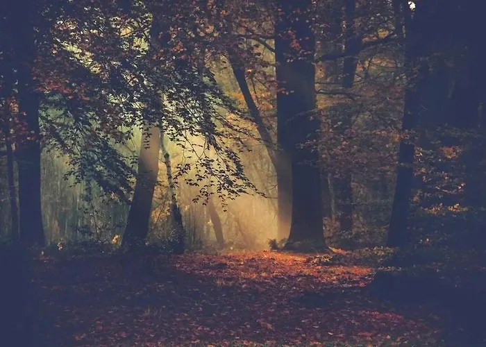 Schaufeli 4* Άπελντουρν