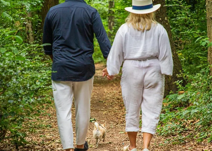 Bed and Breakfast Schaufeli