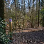 Schaufeli 4* Apeldoorn
