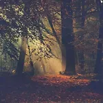 Schaufeli 4* Apeldoorn