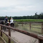 Oda ve Kahvaltı Schaufeli Apeldoorn