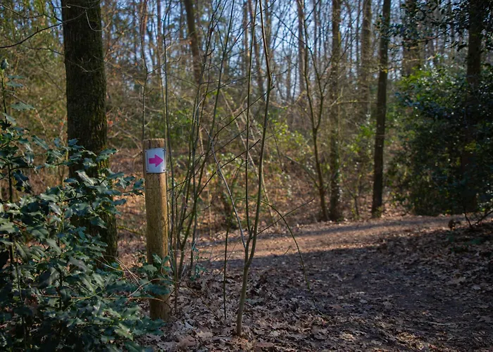 Schaufeli 4* Apeldoorn