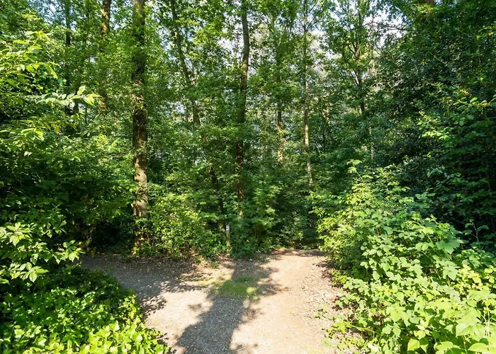 Schaufeli Bed & Breakfast Apeldoorn