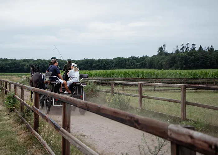 Bed & Breakfast Schaufeli Apeldoorn